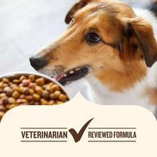 RachaelRayNutrishRealBeef_Pea_BrownRice_DryDogFood_50lbs.4 - USA Mega Market