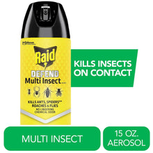 Raid-Defend-Multi-Insect-Indoor-and-Outdoor-Ants-Roaches-Spiders-and-Flies-Insect-Killer-Bug-Spr_1929_1 - USA Mega Market