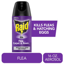Raid-Flea-Killer-Plus-Carpet-Room-Spray-Bug-Spray-Kills-Fleas-Flea-Eggs-16-oz_7e9a04d5-f3cb-4c76-af10-2918b8362de8.b4bcb4bda4ebce64caad2e93bffd8b6c - USA Mega Market