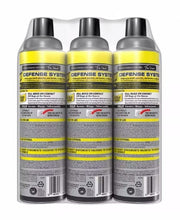 Raid Wasp & Hornet Killer 3ct, 17.5 oz.