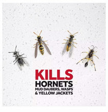Raid® Wasp &amp; Hornet Killer – Powerful Outdoor Insect Defense

Take back your outdoor space with Raid® Wasp &amp; Hornet Killer, a trusted solution from a brand with a legacy of protection. Specially formulated to kill wasps, hornets, yellow jackets, and mud daubers on contact, this powerful spray keeps your backyard, patio, or garden bug-free and comfortable.

✅ Kills on Contact – Instantly eliminates wasps, hornets, mud daubers, and yellow jackets.
✅ Extended Reach – Sprays up to 22 feet, allowing you 