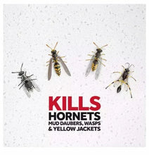 RaidWasp_HornetKiller3ct_17.5oz.5 - Brands For Less USA
