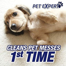 Resolve Ultra Pet Odor and Stain Remover Spray – Carpet Cleaner for Cat and Dog Urine and Poop, 32oz (Pack of 2)
