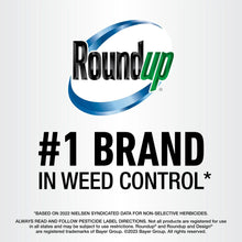 Roundup-Weed-and-Grass-Killer4-w10 - USA Mega Market