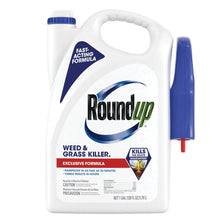 Roundup-Weed-and-Grass-Killer4-w13 - USA Mega Market
