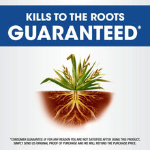 Roundup-Weed-and-Grass-Killer4-w2-_3 - USA Mega Market