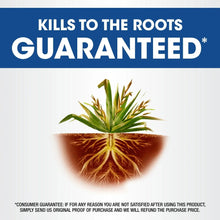 Roundup Weed and Grass Killer4 with Trigger Sprayer, 1 gal.