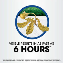 Roundup-Weed-and-Grass-Killer4-w5-_6 - USA Mega Market