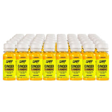 SLAPP Organic Ginger & Turmeric Daily Booster Shots 48-count
