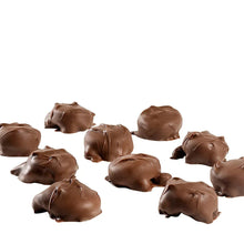SandersMilkChocolatePecanCaramelClusters32oz_2-pack2 - Brands For Less USA