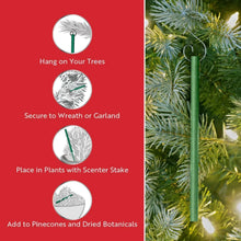 Scentsicles-3-Pack-Scented-Stick-Ornaments-White-Winter-Fir-O-Christmas-Tree-and-Snowberry-Pine-1-_4_ead4063c-4367-486c-9cd1-f781b43b63ed - USA Mega Market