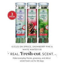 Scentsicles 3-Pack Scented Stick Ornaments - White Winter Fir, Snowberry Pine, and Icicles on Spruce
