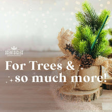 Scentsicles-3-Pack-Scented-Stick-Ornaments-White-Winter-Fir-Snowberry-Pine-and-Icicles-on-Spruce-_6 - Brands For Less USA
