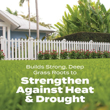 Scotts-Turf-Builder-Bonus-S-Sout6 - USA Mega Market