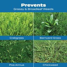 Scotts-Turf-Builder-Halts-Crabgr2_5c95368c-b7bc-43b4-8395-fc82aa07bde9 - USA Mega Market