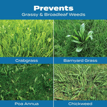 Scotts Turf Builder, Halts Crabgrass Preventer with Lawn Food
