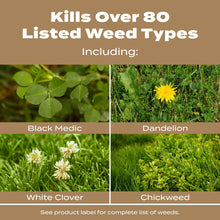 Scotts-Turf-Builder-Weed-Feed-fo3 - USA Mega Market