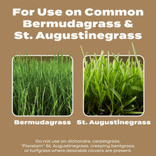 Scotts-Turf-Builder-Weed-Feed-fo4 - USA Mega Market