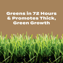 Scotts-Turf-Builder-Weed-Feed-fo5 - USA Mega Market