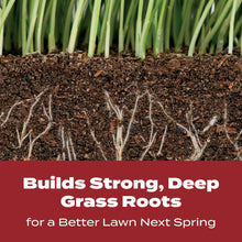 Scotts-Turf-Builder-WinterGuard3_1c551f4b-98fd-4d6a-ba1c-73d7ee6d1ce4 - USA Mega Market
