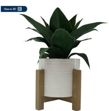Screenshot2024-04-21123342 - USA Mega Market