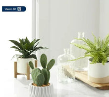 Screenshot2024-04-21123402 - USA Mega Market