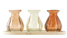 3 Pc Indoor Decorative Translucent Glass Tabletop Bud Vase Set with Natural Wood Base Tray