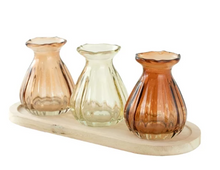 3 Pc Indoor Decorative Translucent Glass Tabletop Bud Vase Set with Natural Wood Base Tray