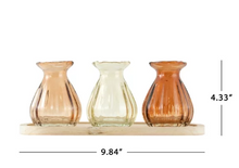 3 Pc Indoor Decorative Translucent Glass Tabletop Bud Vase Set with Natural Wood Base Tray
