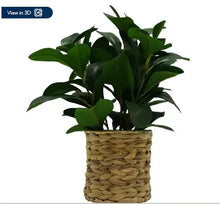 Screenshot2024-04-22122424 - USA Mega Market