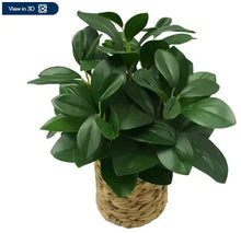 Screenshot2024-04-22122437 - USA Mega Market