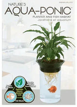 Penn Plax Aquaponic Betta Fish Plastic Tank, 0.5 Gallon