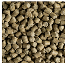 Alimento Kaytee Pro Health para ratones, ratas y hámsteres, 2,27 kg (5 lb) 