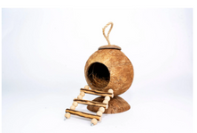 Hábitat Penn-Plax Coconut Hut - Juguete y hogar para hámsteres - Escalera de cuerda de 3 peldaños 