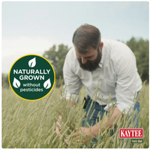 Kaytee Forti-Diet All Natural Timothy Hay , 48 ounce