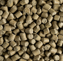 Alimento Kaytee Pro Health para ratones, ratas y hámsteres, 2,27 kg (5 lb) 