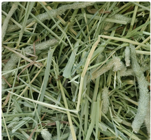 Standlee PremiYum Western Timothy Grass Hay Small Animal Food for Rabbits, Guinea Pigs, and Chinchillas, 9 lb. Box