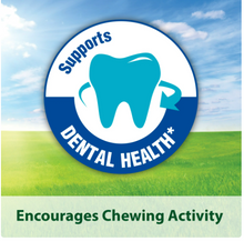 Kaytee Forti-Diet Timothy Treat Chew-A-Bowl for Small Animals