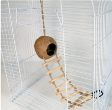 Escondite Penn-Plax de coco con escalera de 7 peldaños, para jaulas de pájaros o animales pequeños 
