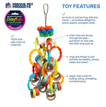 Prevue Pet Products Loops 'n Rings - Playfuls Physical & Mental Bird Toy with Colorful Plastic Rings 60252