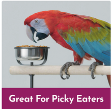 Kaytee Nutri Soft Macaw &amp; Cockatoo Pet Bird Food, 3 lb. 