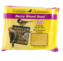 Wildlife Sciences - Paquete de 6 tortas de sebo de 6 sabores para aves silvestres 