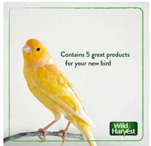 Screenshot2024-04-27123631 - Brands For Less USA