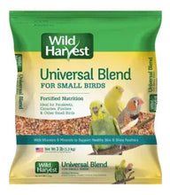 Screenshot2024-04-27123644 - Brands For Less USA
