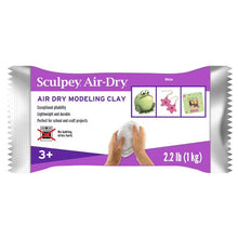 Sculpey Air Dry Modeling Clay 2.2 lbs White
