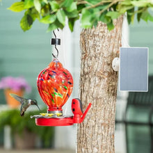 SolarSmartHummingbirdFeeder1 - USA Mega Market