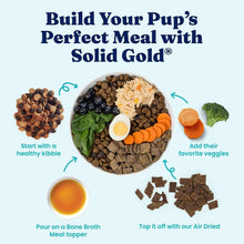 Solid-Gold-Bone-Broth-with-Turmeric-Dog-Food-Topper-16-oz-2-pk-1-_9 - USA Mega Market