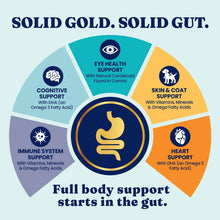 Solid-Gold-Bone-Broth-with-Turmeric-Dog-Food-Topper-16-oz-2-pk-_10 - USA Mega Market