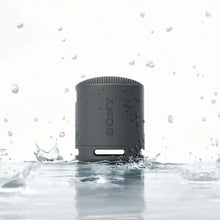 Sony SRSXB100 Bluetooth Portable Speaker