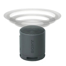 Sony SRSXB100 Bluetooth Portable Speaker